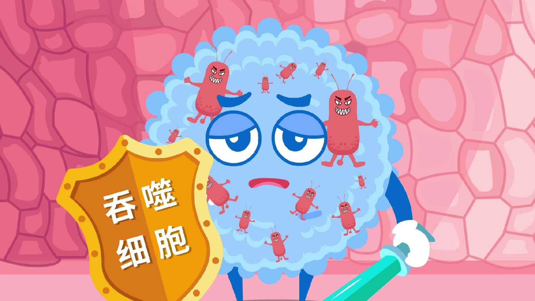 【MG动画专业知识】MG动画为什么被称为“会动的图形设计”