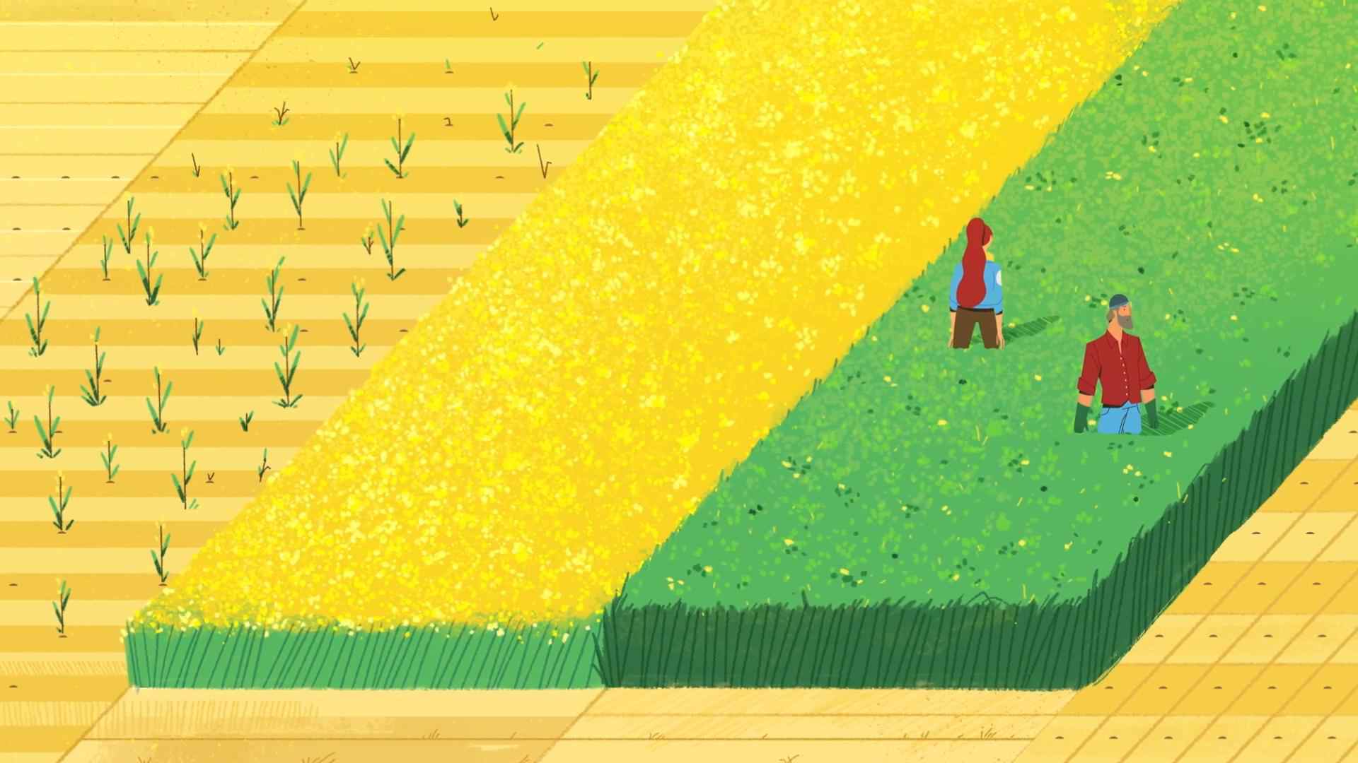 dekalb_-_seed_by_seed (1080p).mp4_20220519_182409547_compressed.jpg