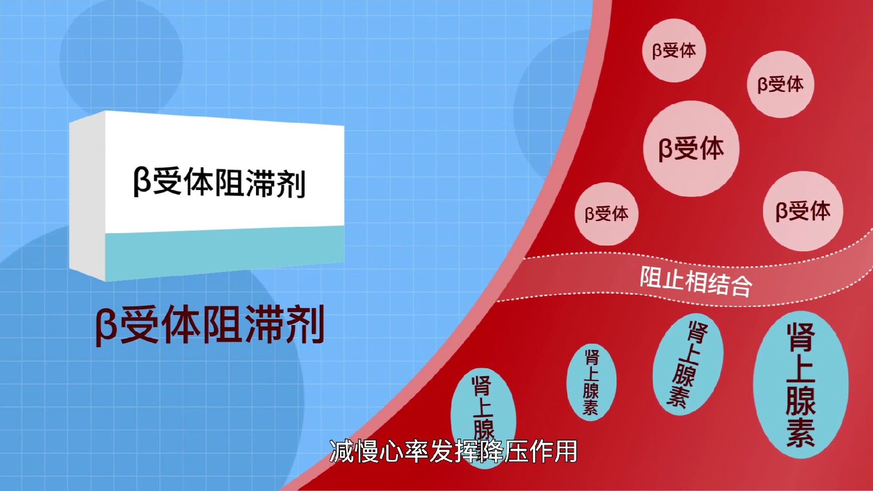 MG动画能否制作医学宣传视频，有何优势？